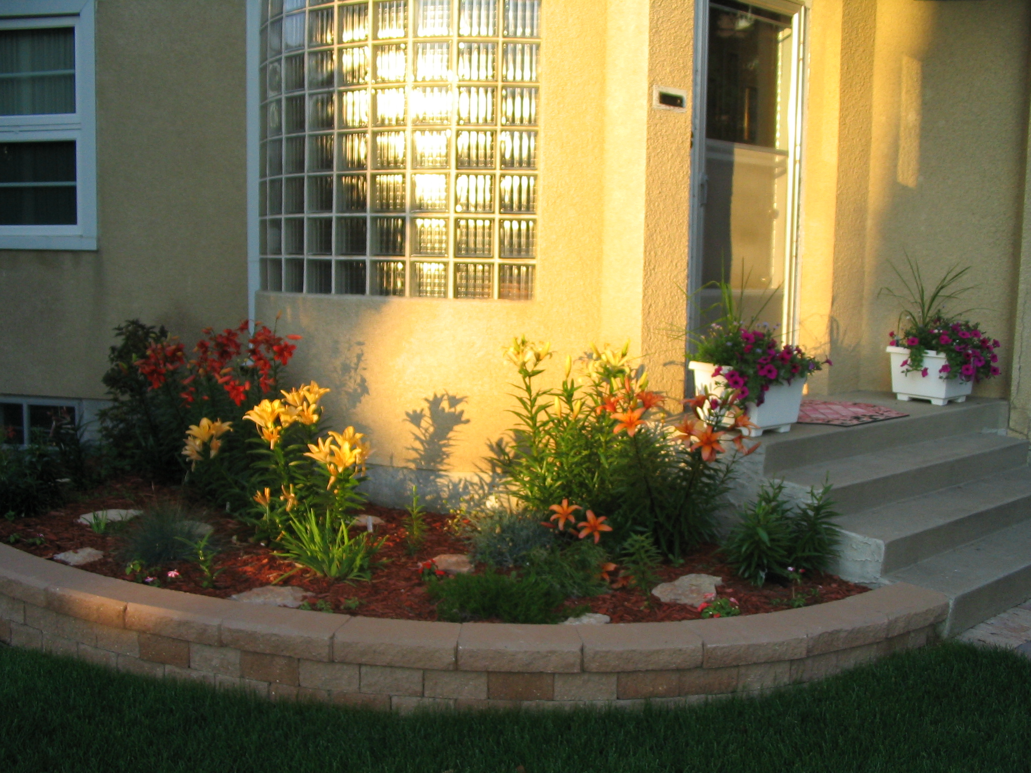 Front yard lillies photo 6